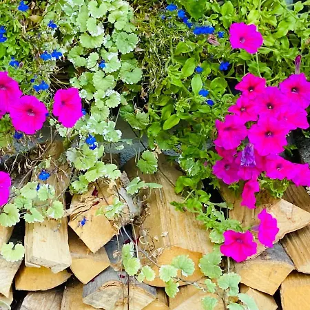 木屋 Schmitten 102 By Alp Lux - Opposite Lift